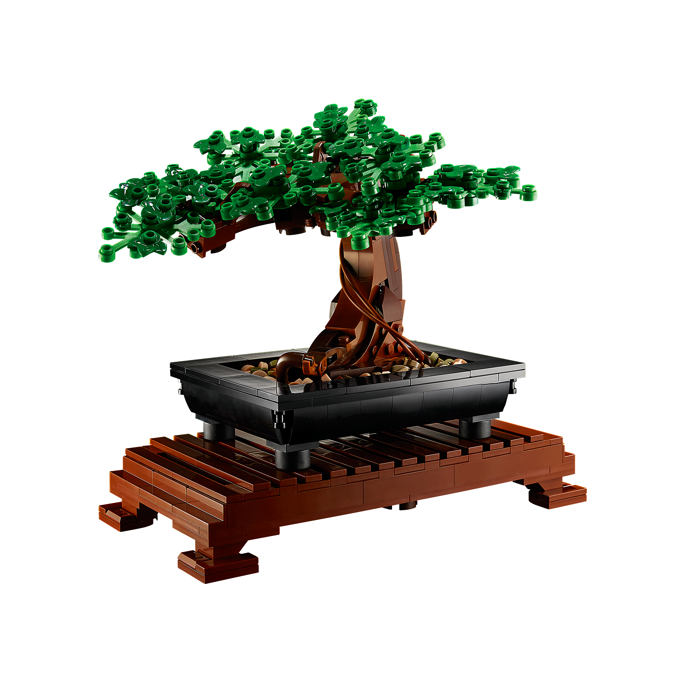 Bonsai Tree - Image 5