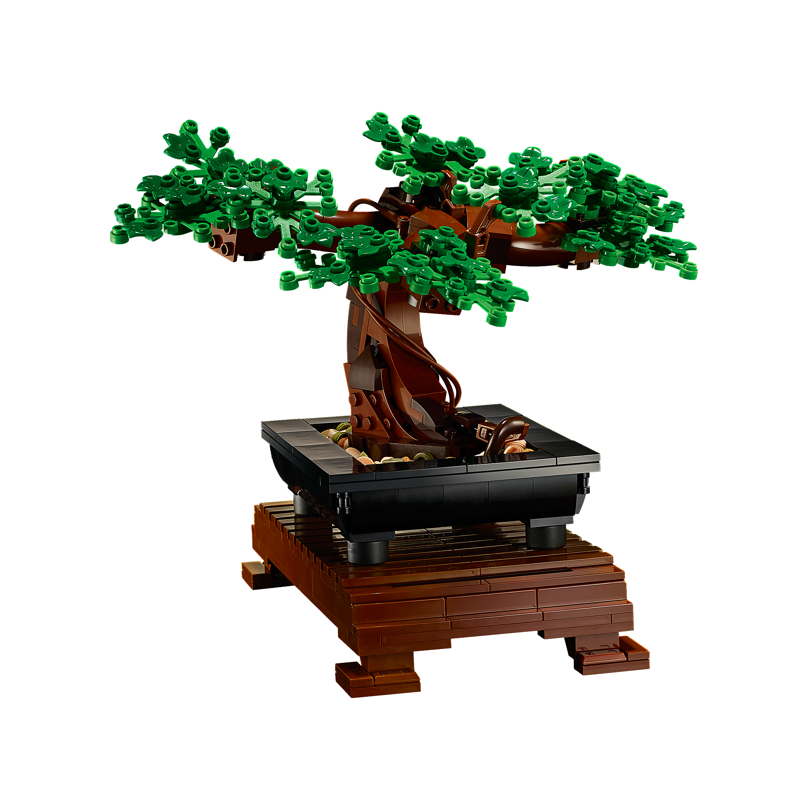 Bonsai Tree - Image 6