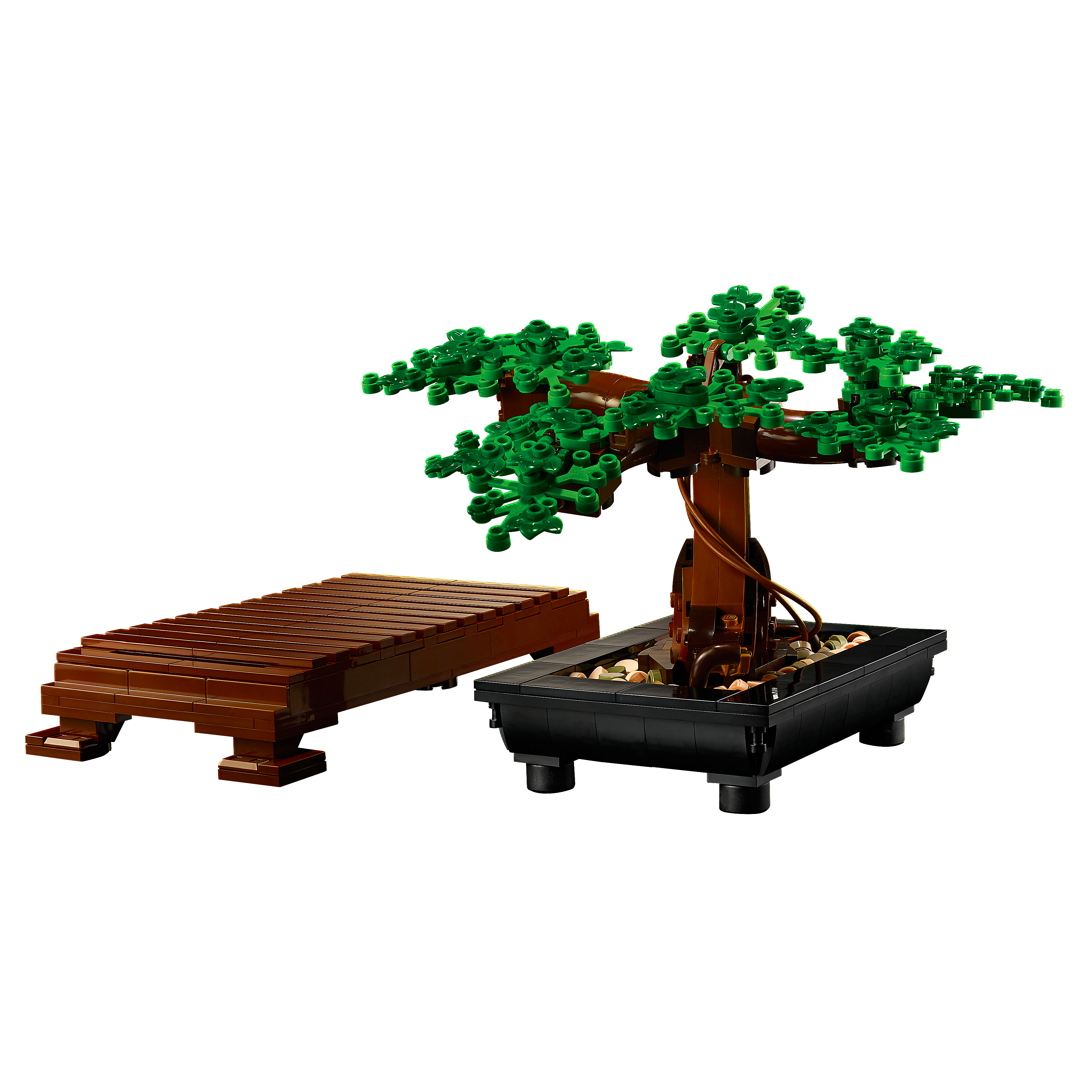 Bonsai Tree - Image 9