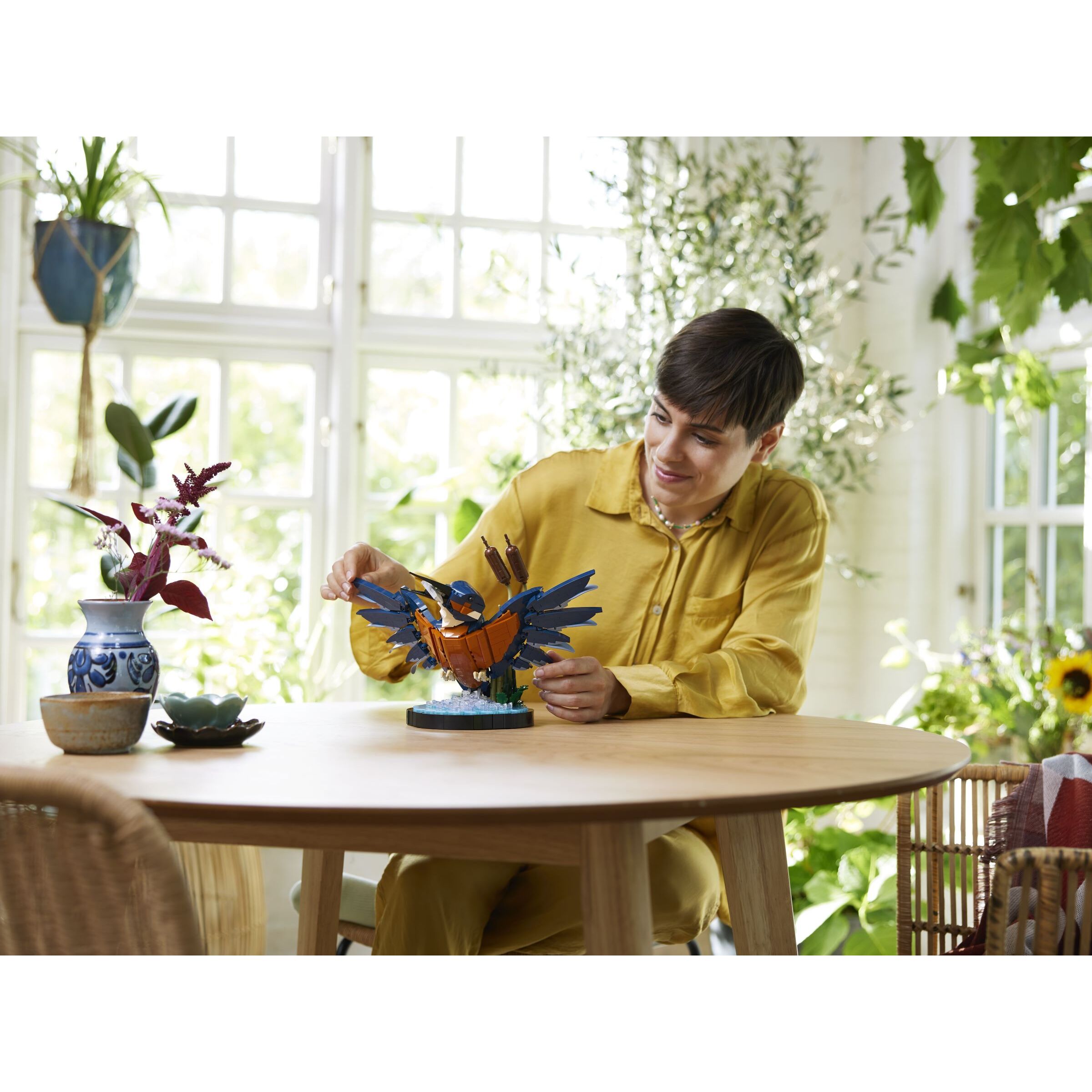 Kingfisher Bird - Image 6