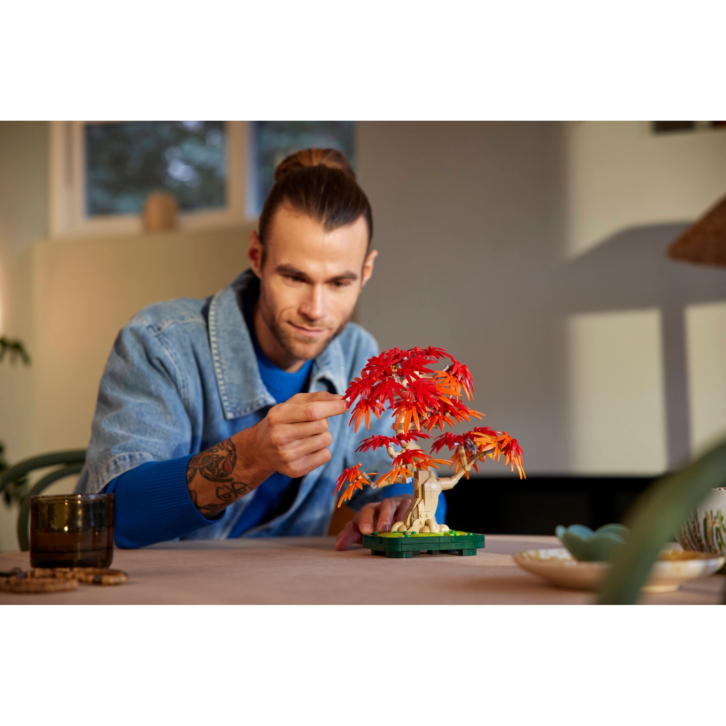 Japanese Red Maple Bonsai Tree - Image 7