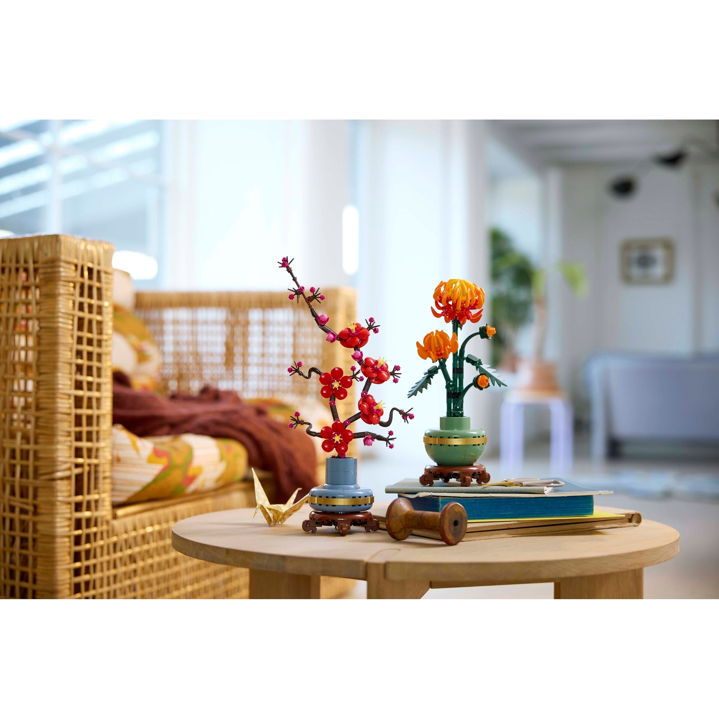 Chrysanthemum - Image 4