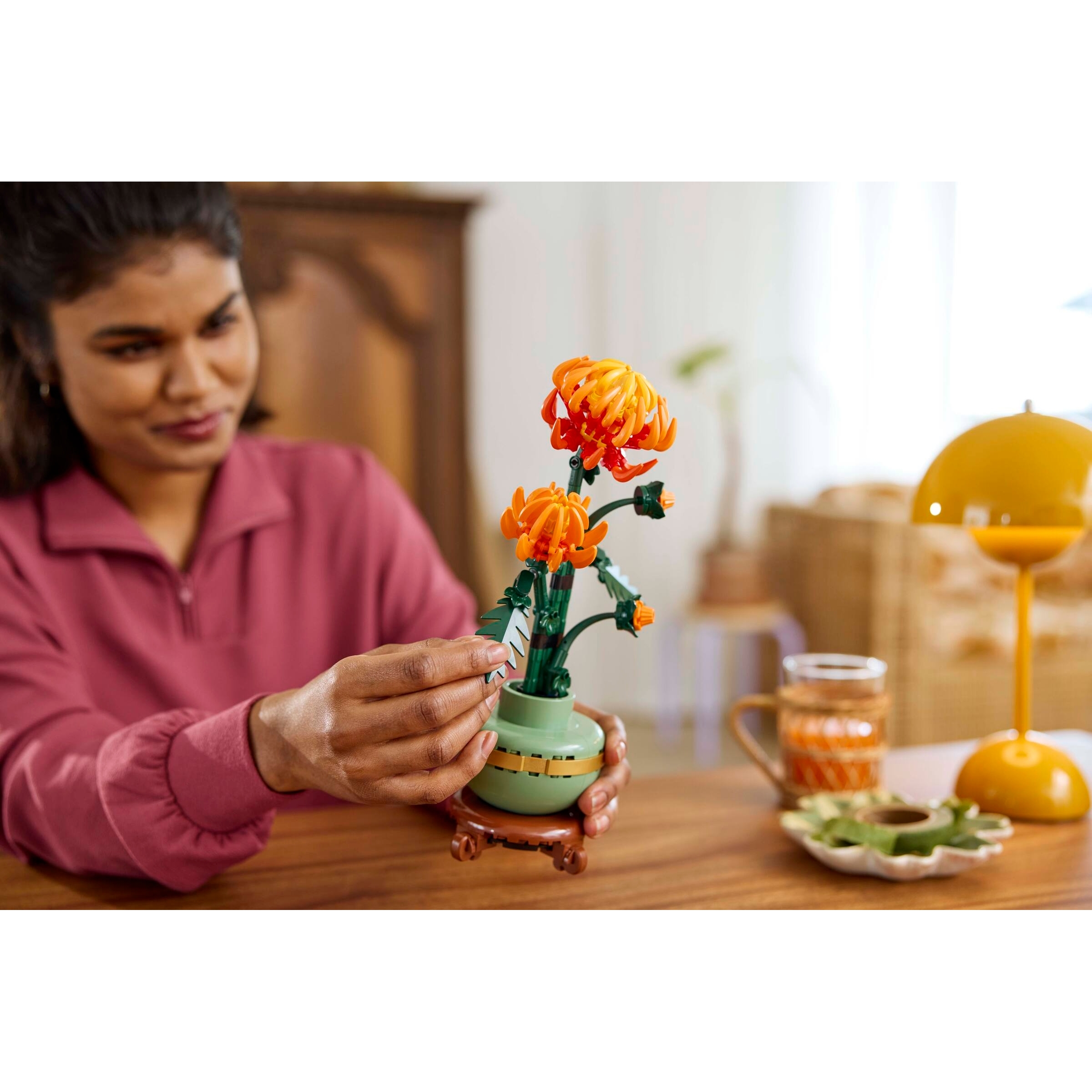 Chrysanthemum - Image 8