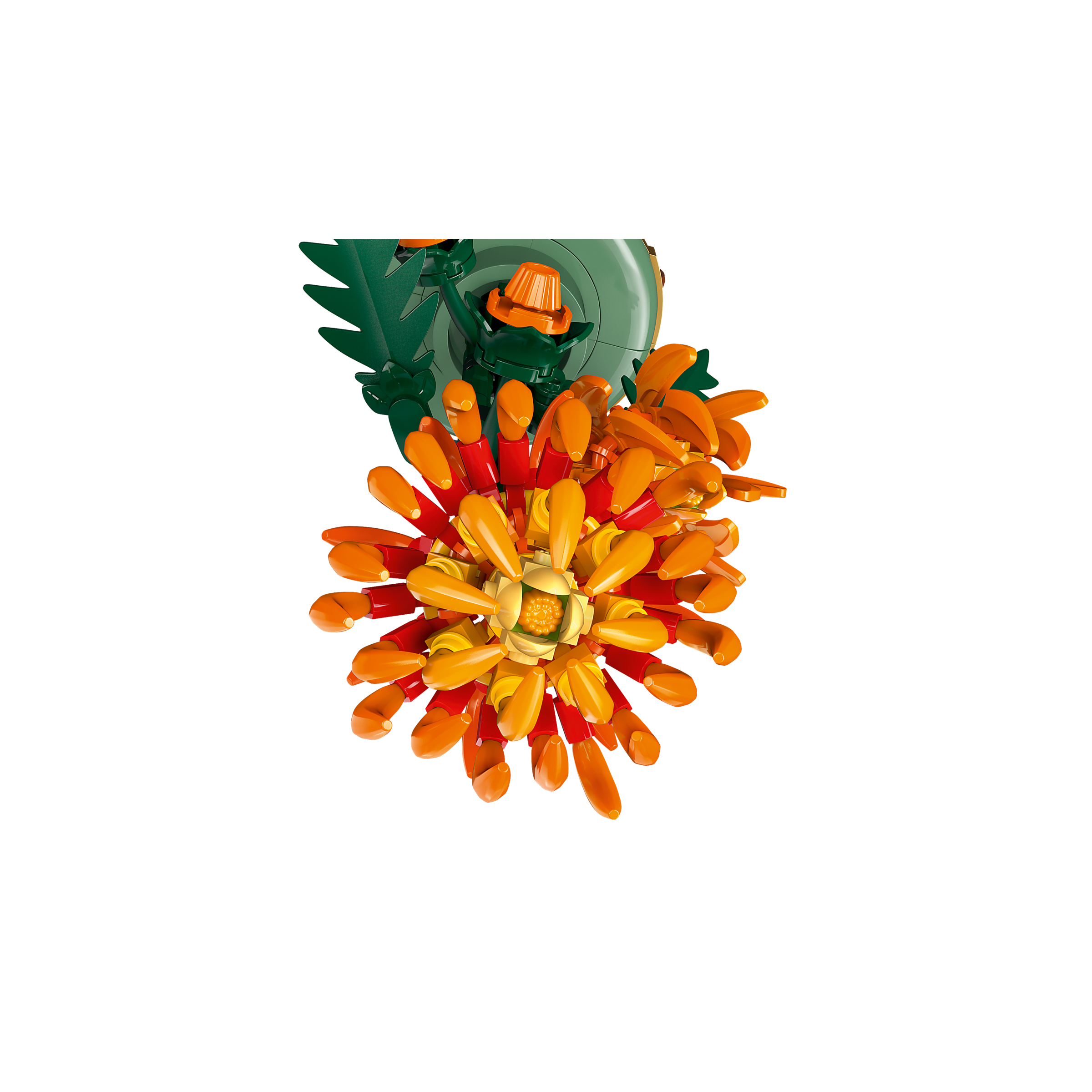 Chrysanthemum - Image 6