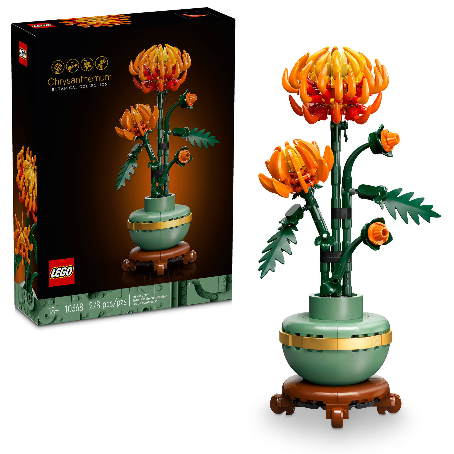 Chrysanthemum - Image 2