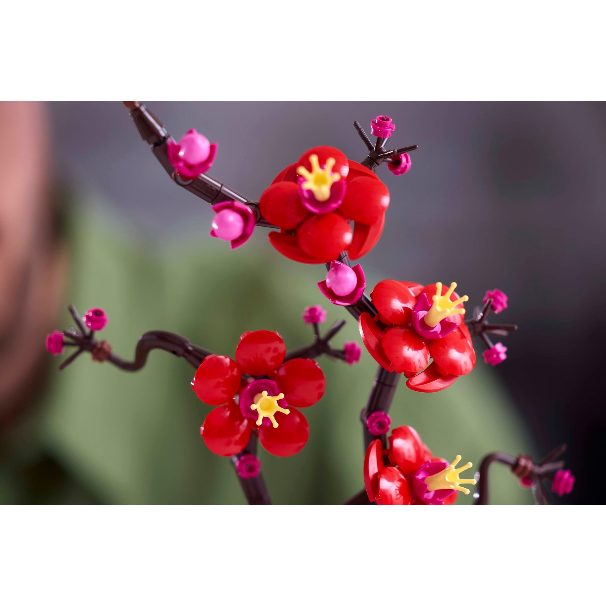 Plum Blossom - Image 9