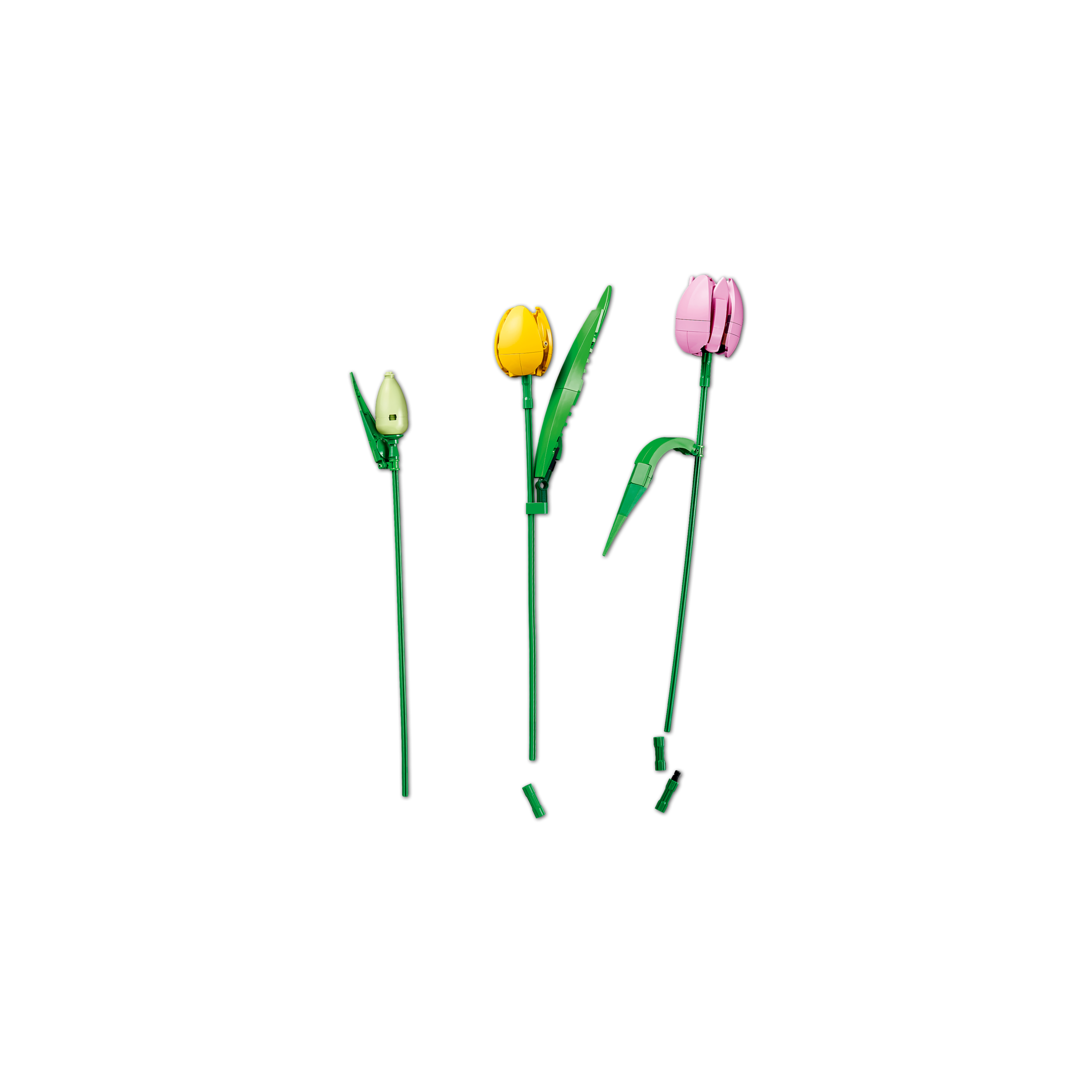 Tulip Bouquet - Image 7
