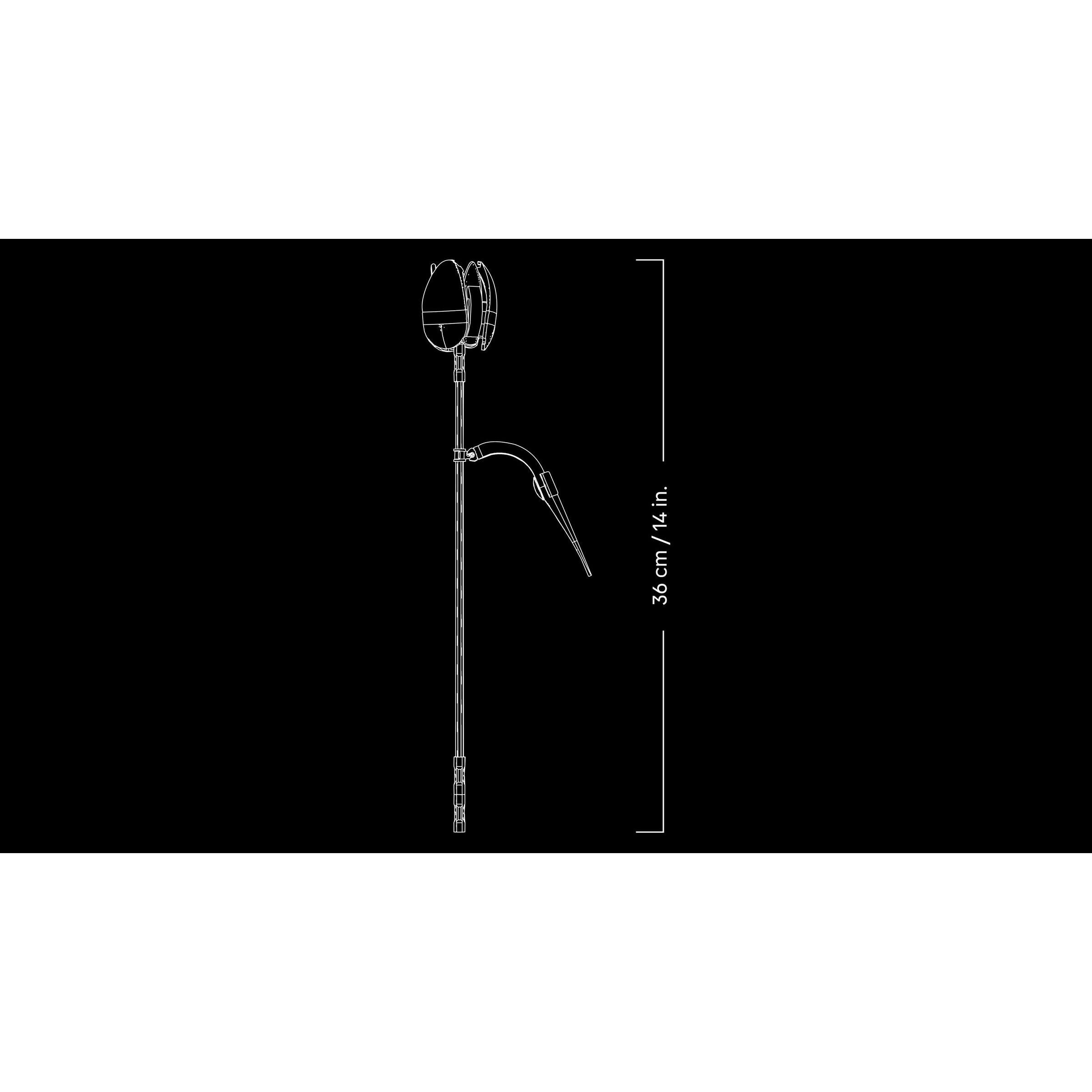 Tulip Bouquet - Image 8