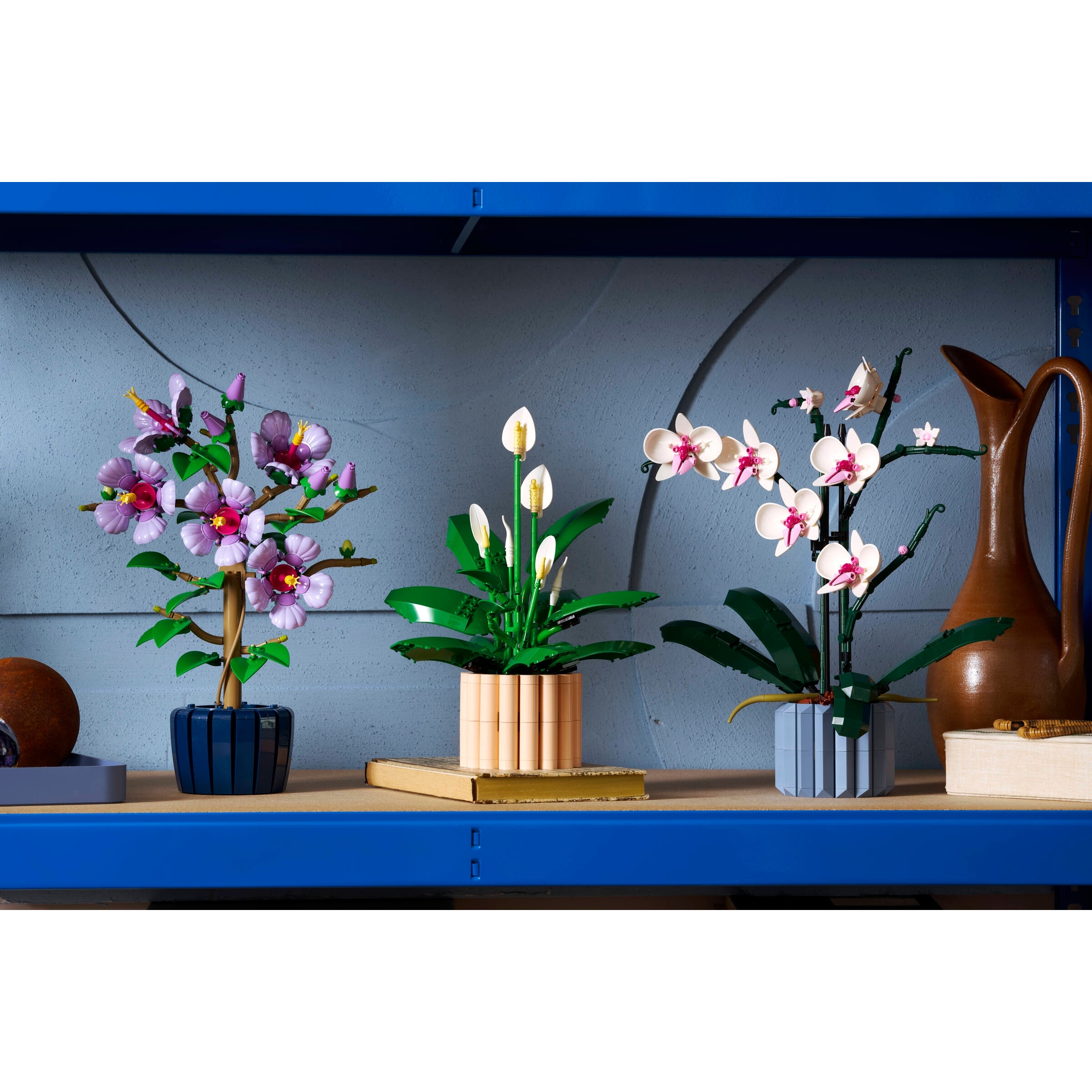 Peace Lily - Image 14