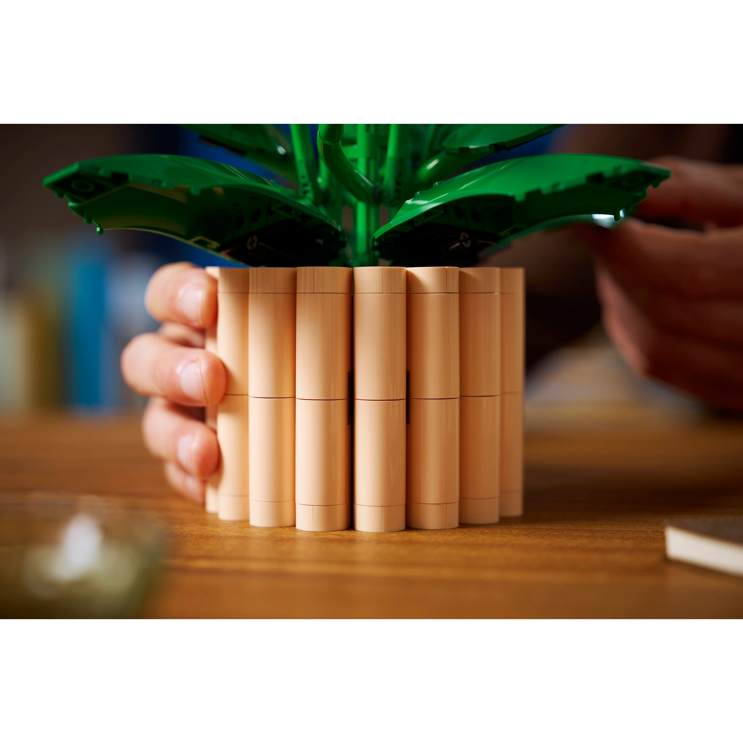 Peace Lily - Image 10