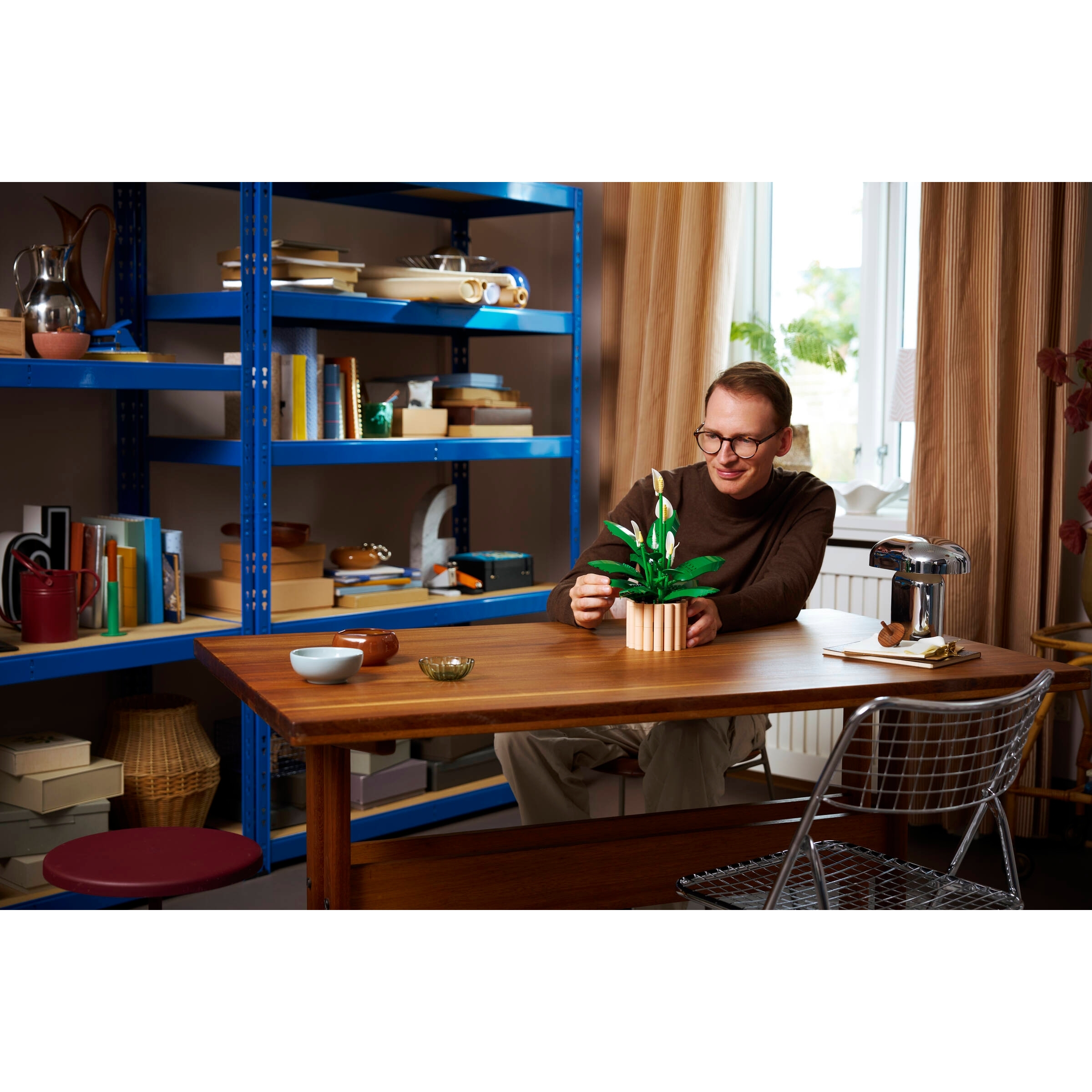 Peace Lily - Image 12