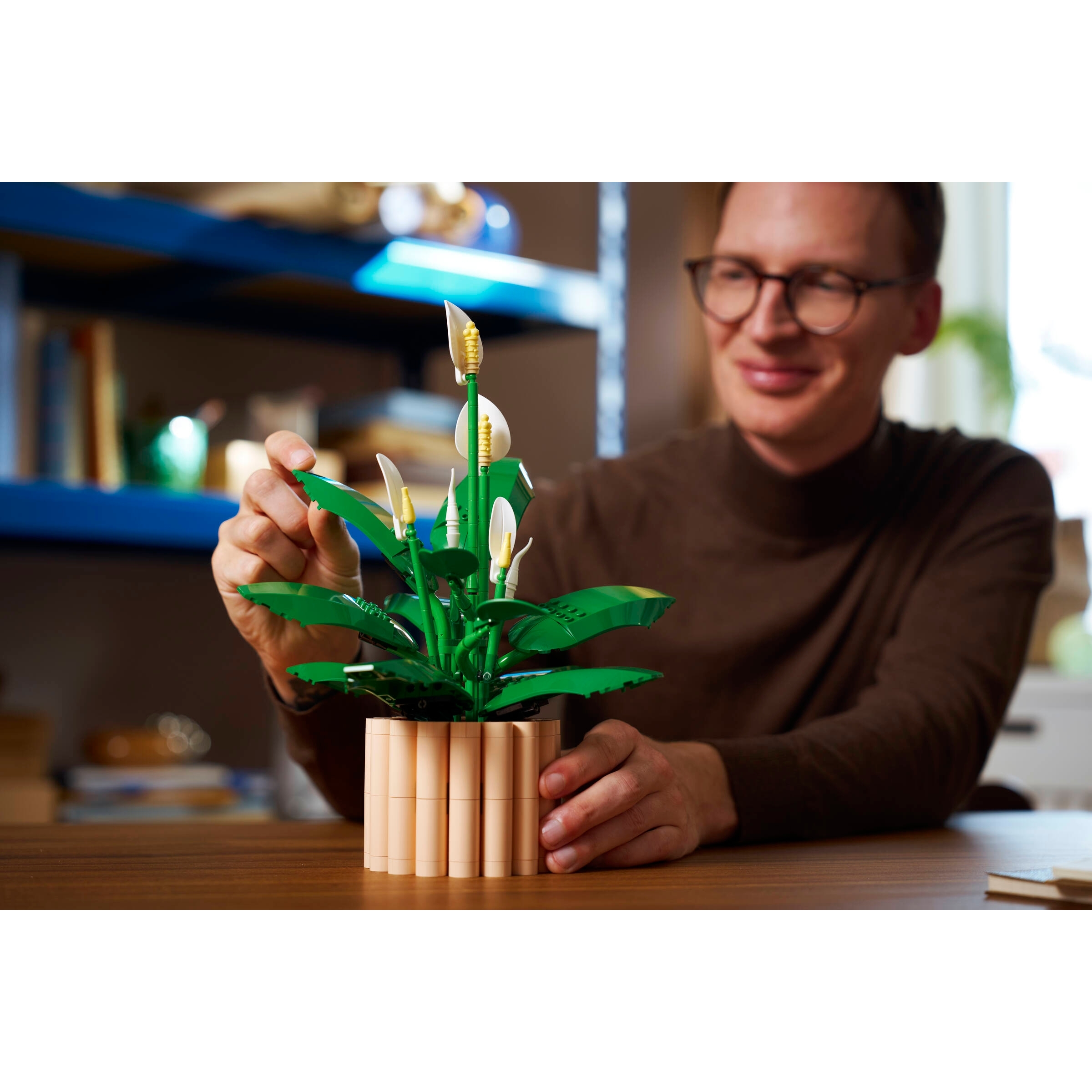 Peace Lily - Image 9