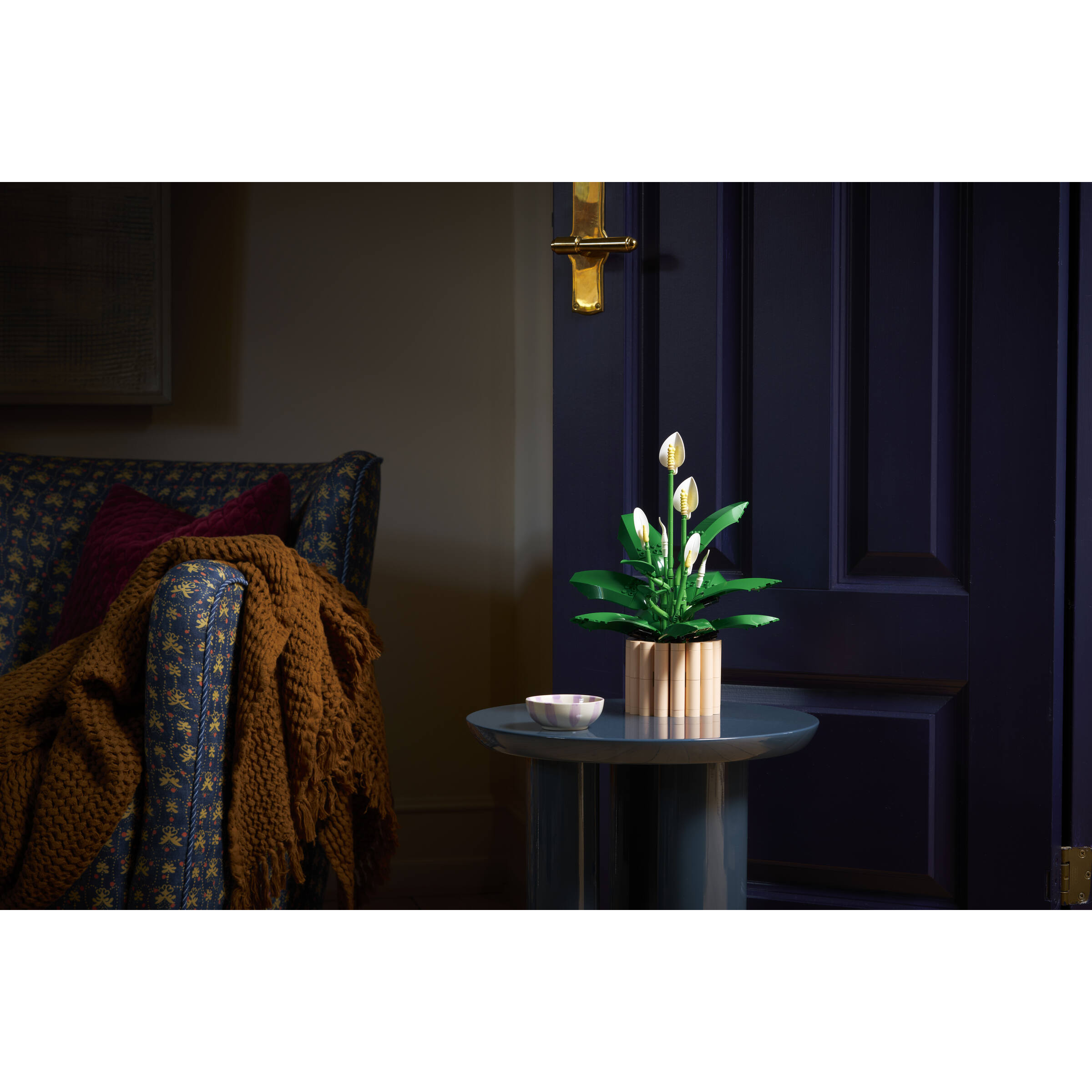 Peace Lily - Image 11