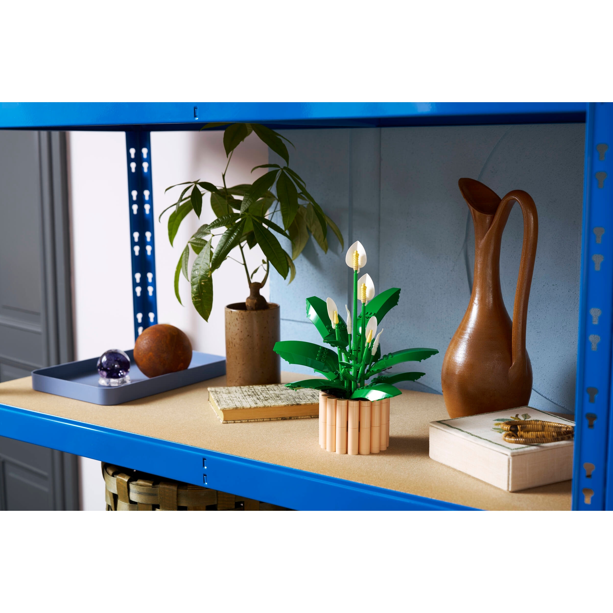 Peace Lily - Image 4