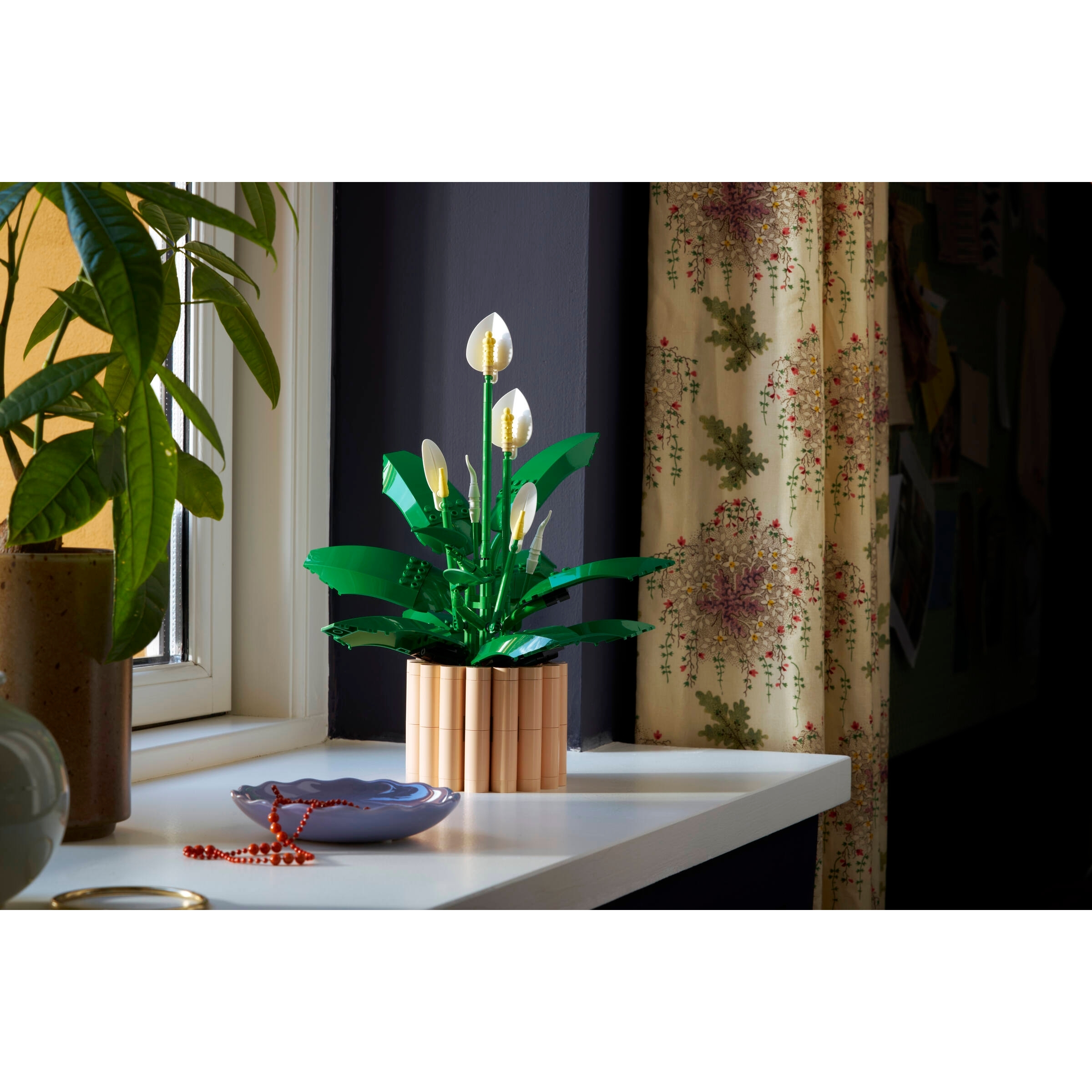 Peace Lily - Image 3