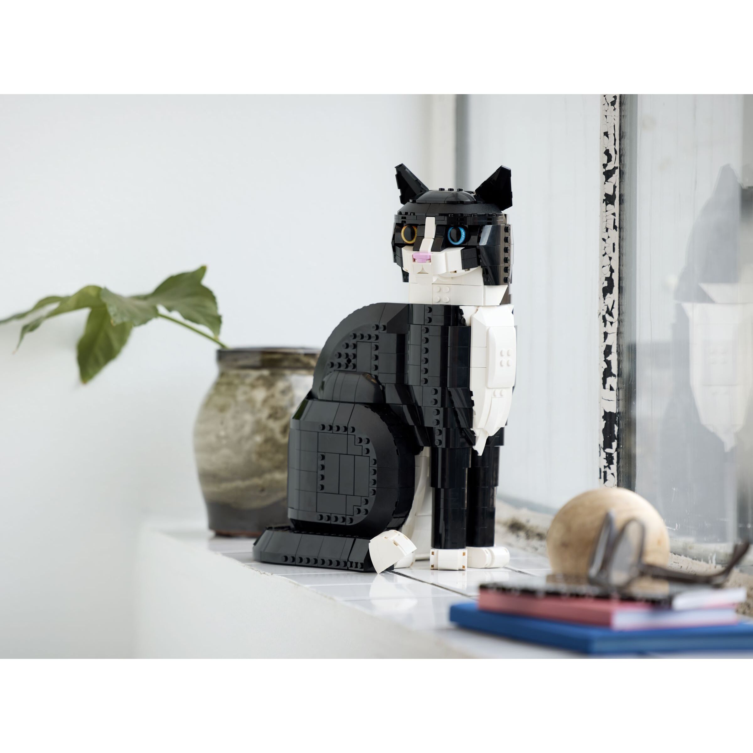 Tuxedo Cat - Image 9