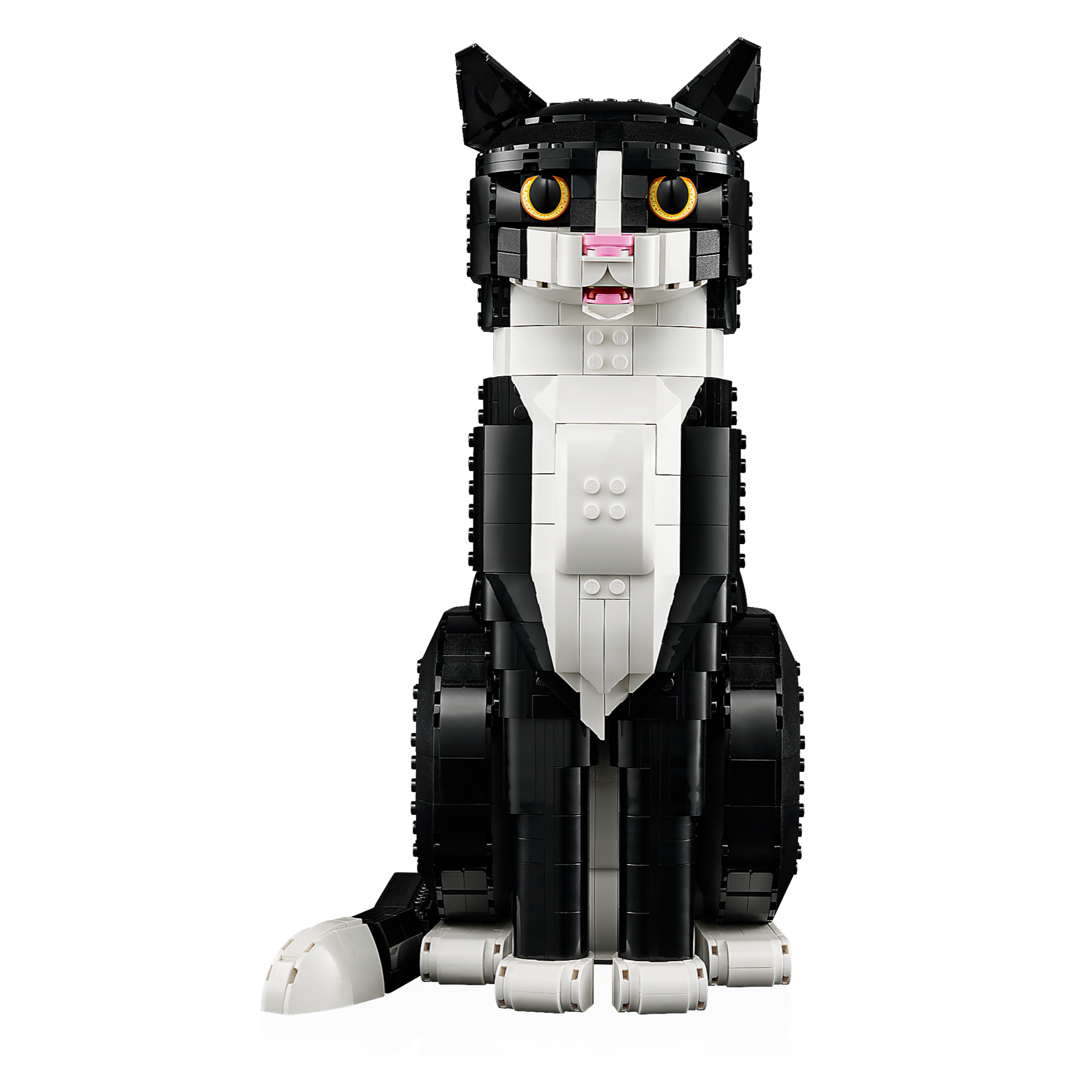 Tuxedo Cat - Image 3