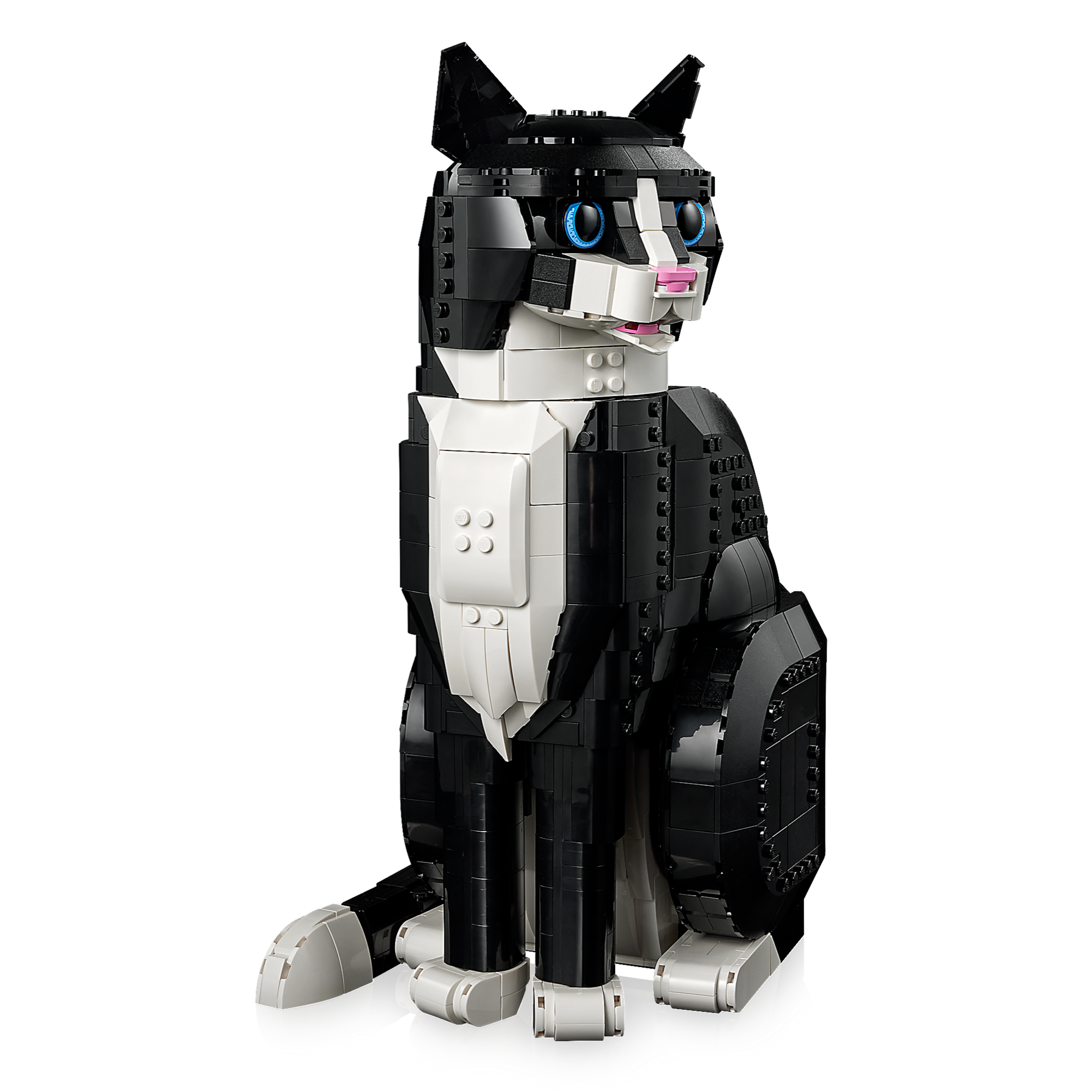 Tuxedo Cat - Image 4