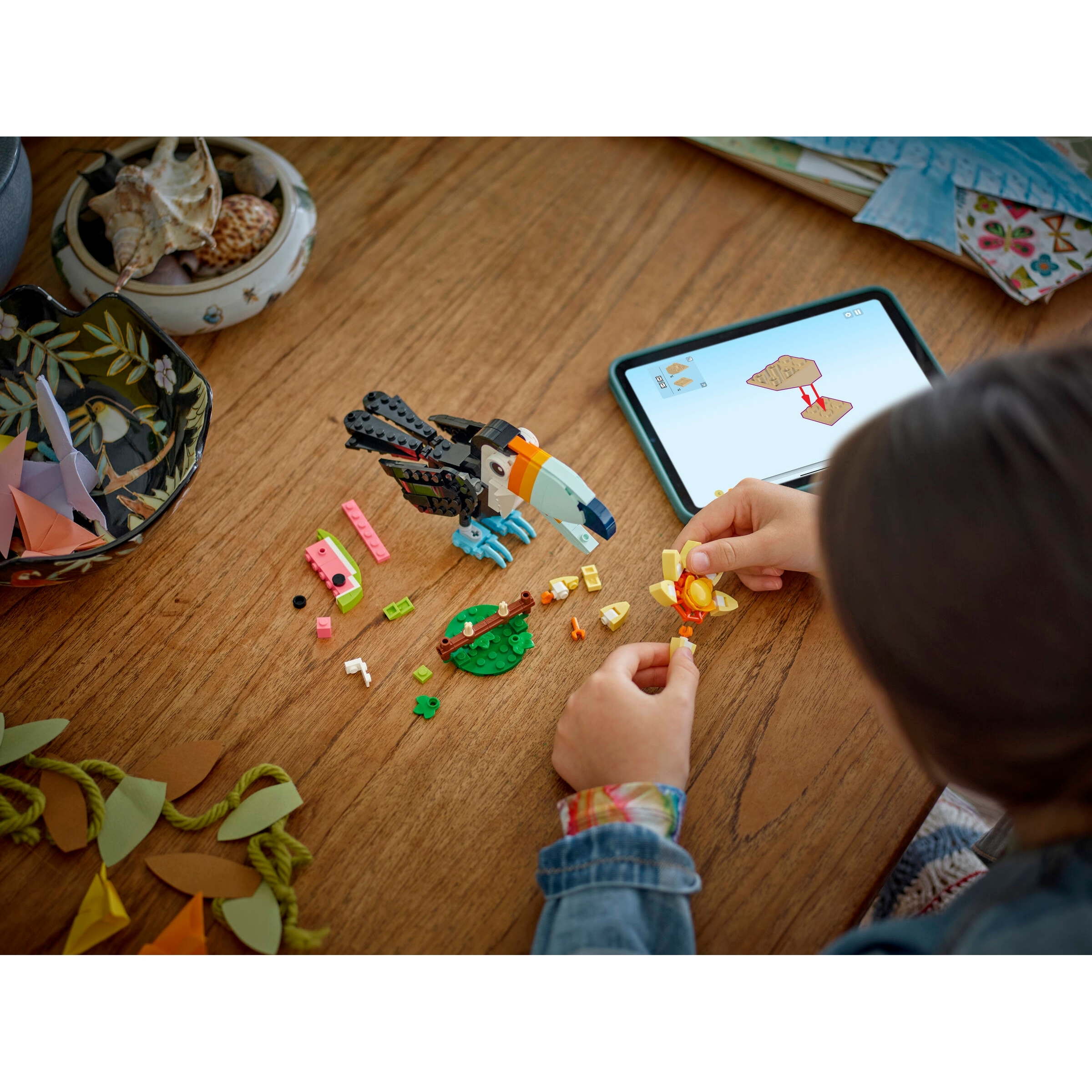 Wild Animals: Tropical Toucan - Image 9