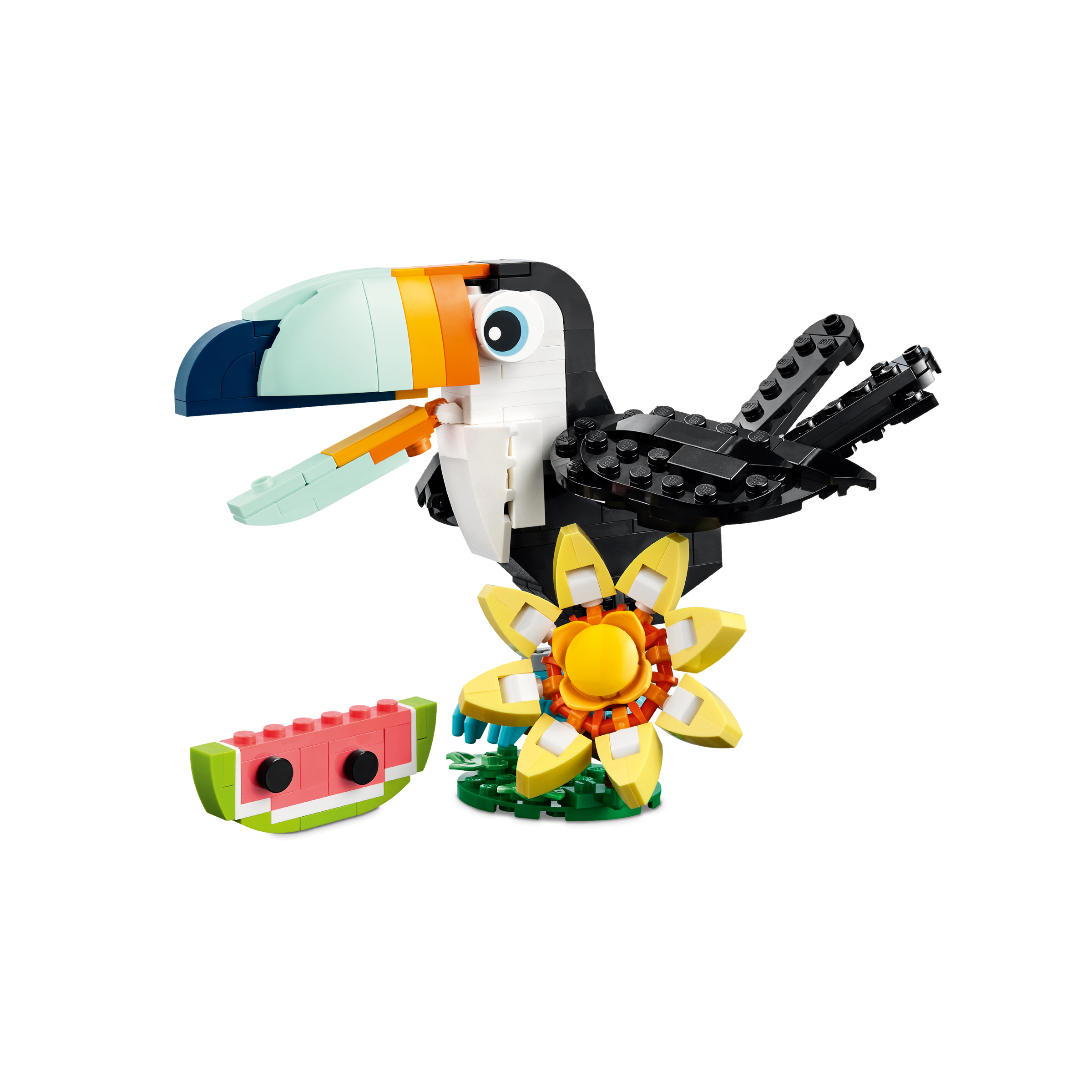 Wild Animals: Tropical Toucan - Image 5