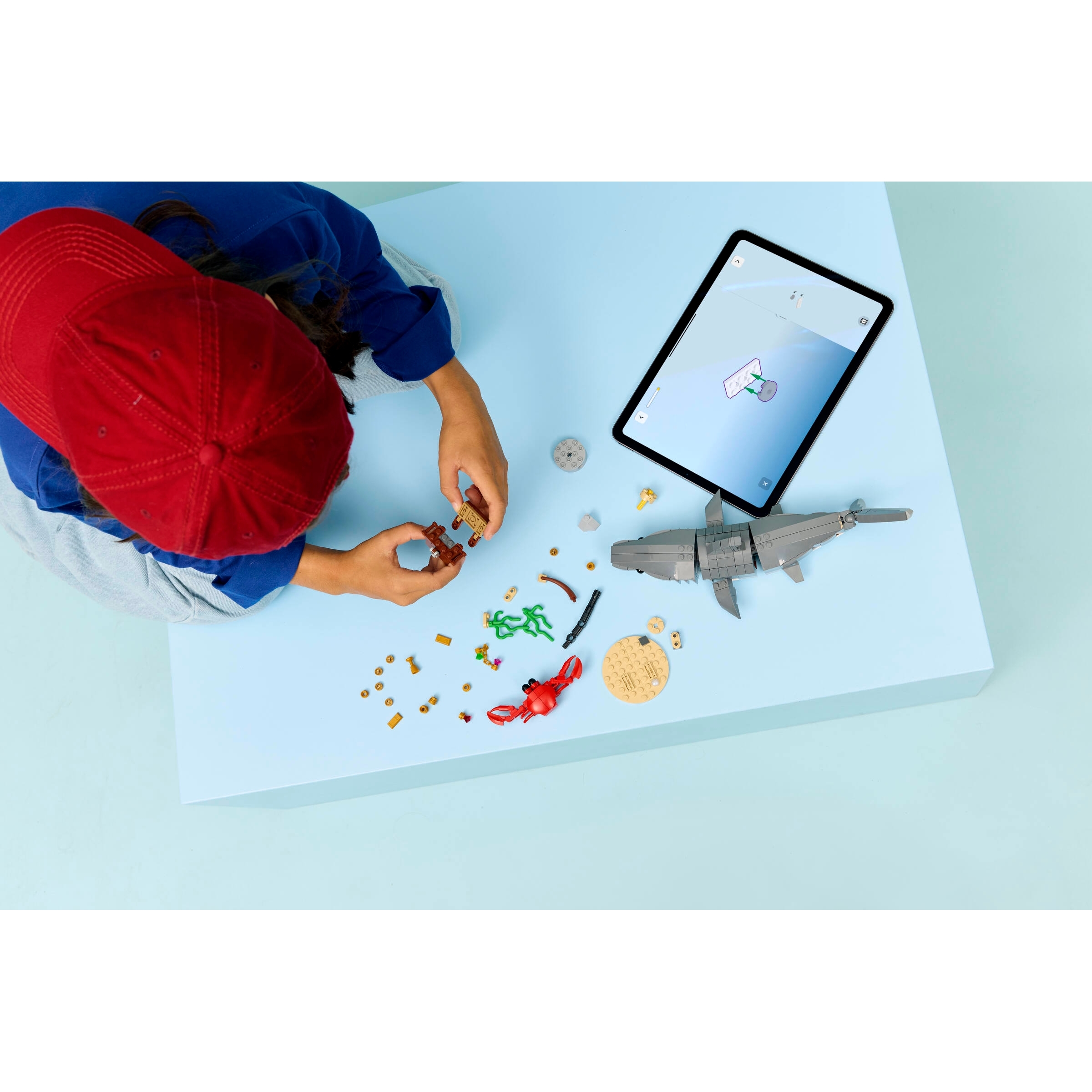 Fierce Shark With A Treasure Chest - Image 10