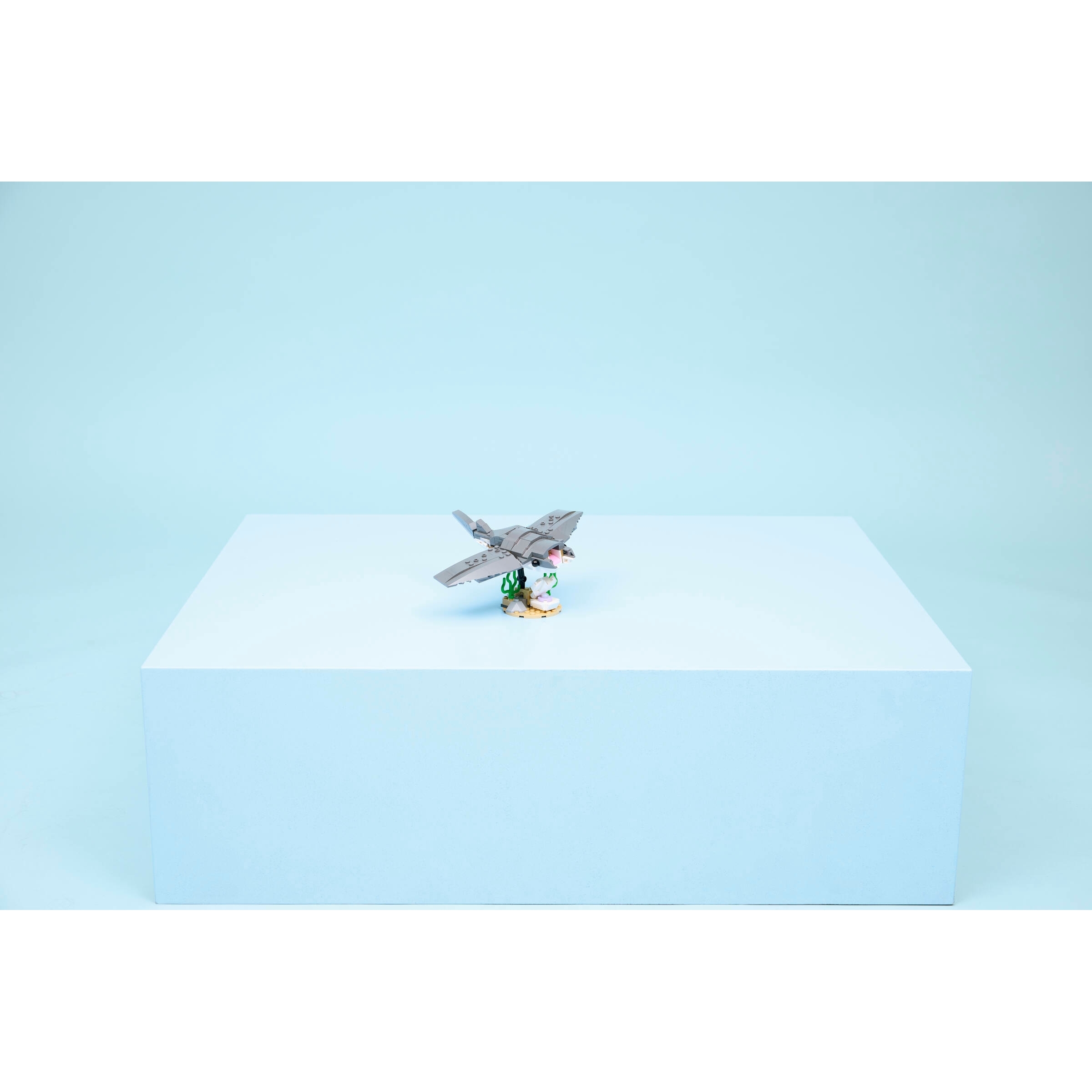 Fierce Shark With A Treasure Chest - Image 9