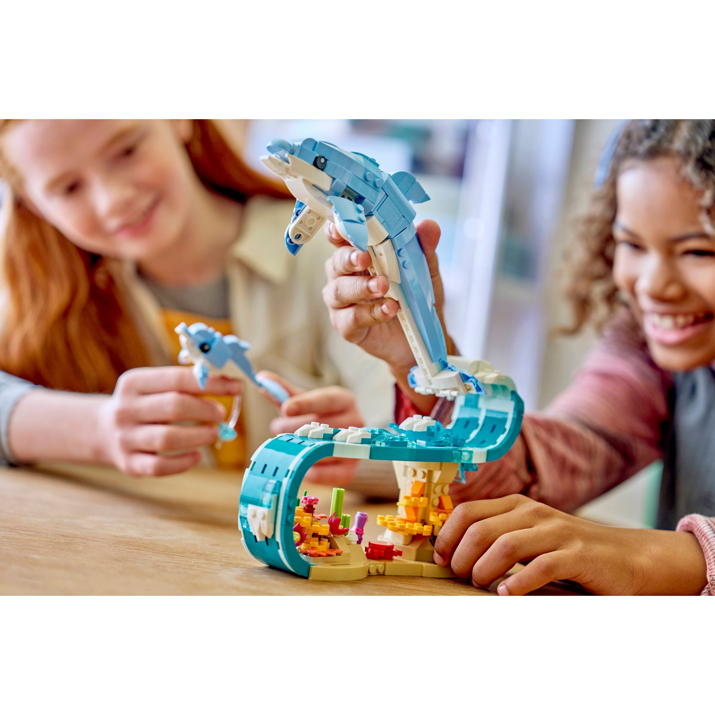 Sea Animals: Beautiful Dolphins - Image 6