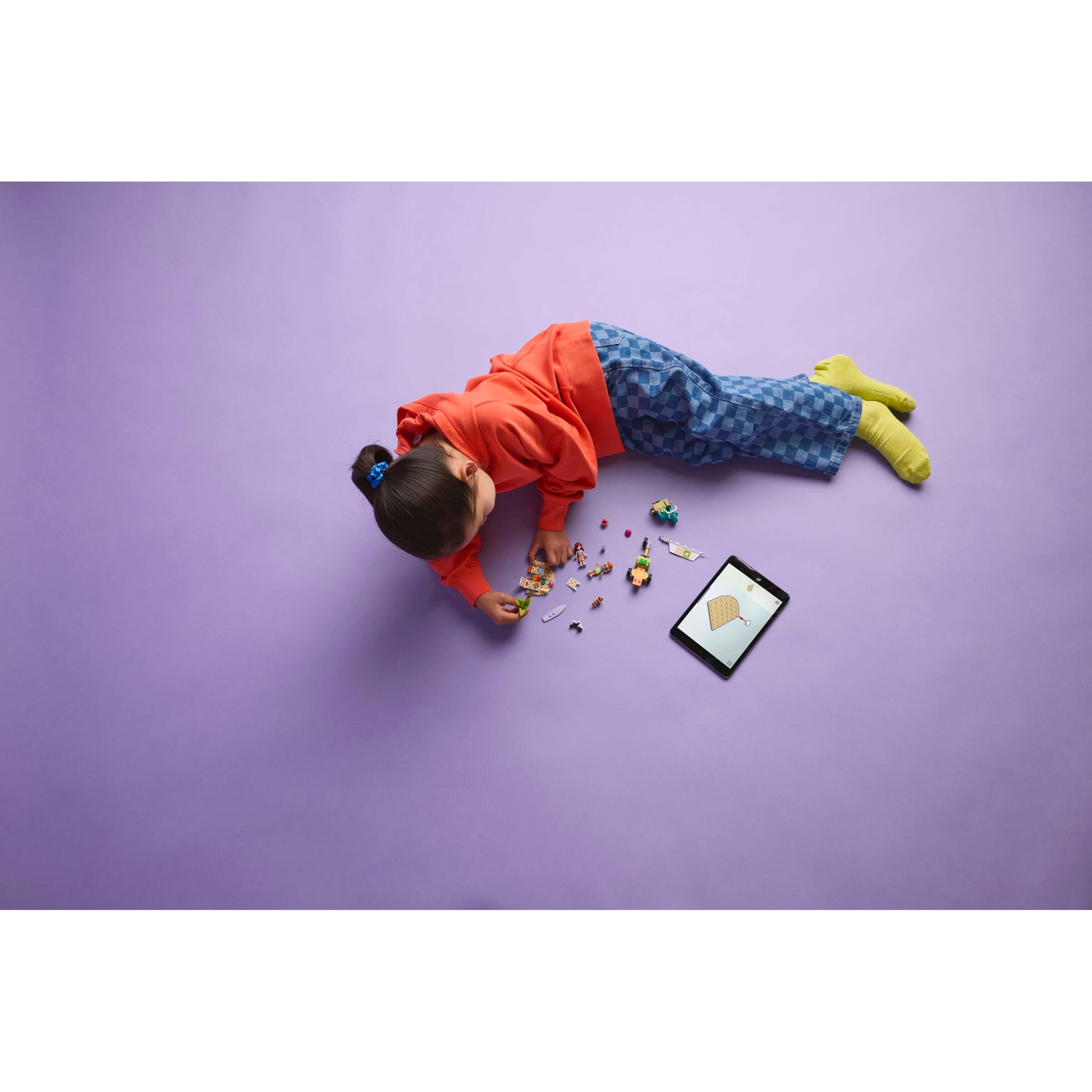 Surfing Dogs And Scooter Adventure - Image 8