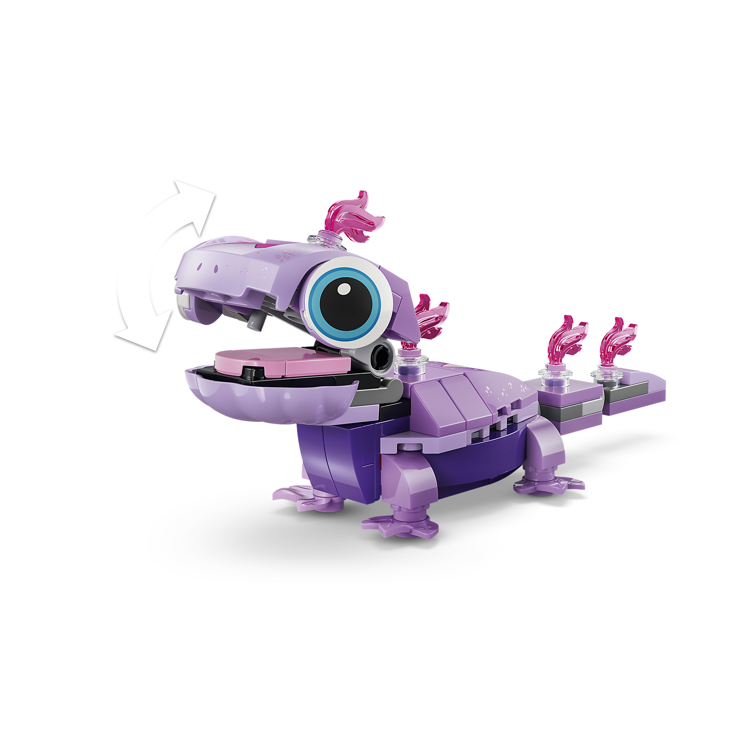 Olaf And Bruni's Picnic Fun - Image 6