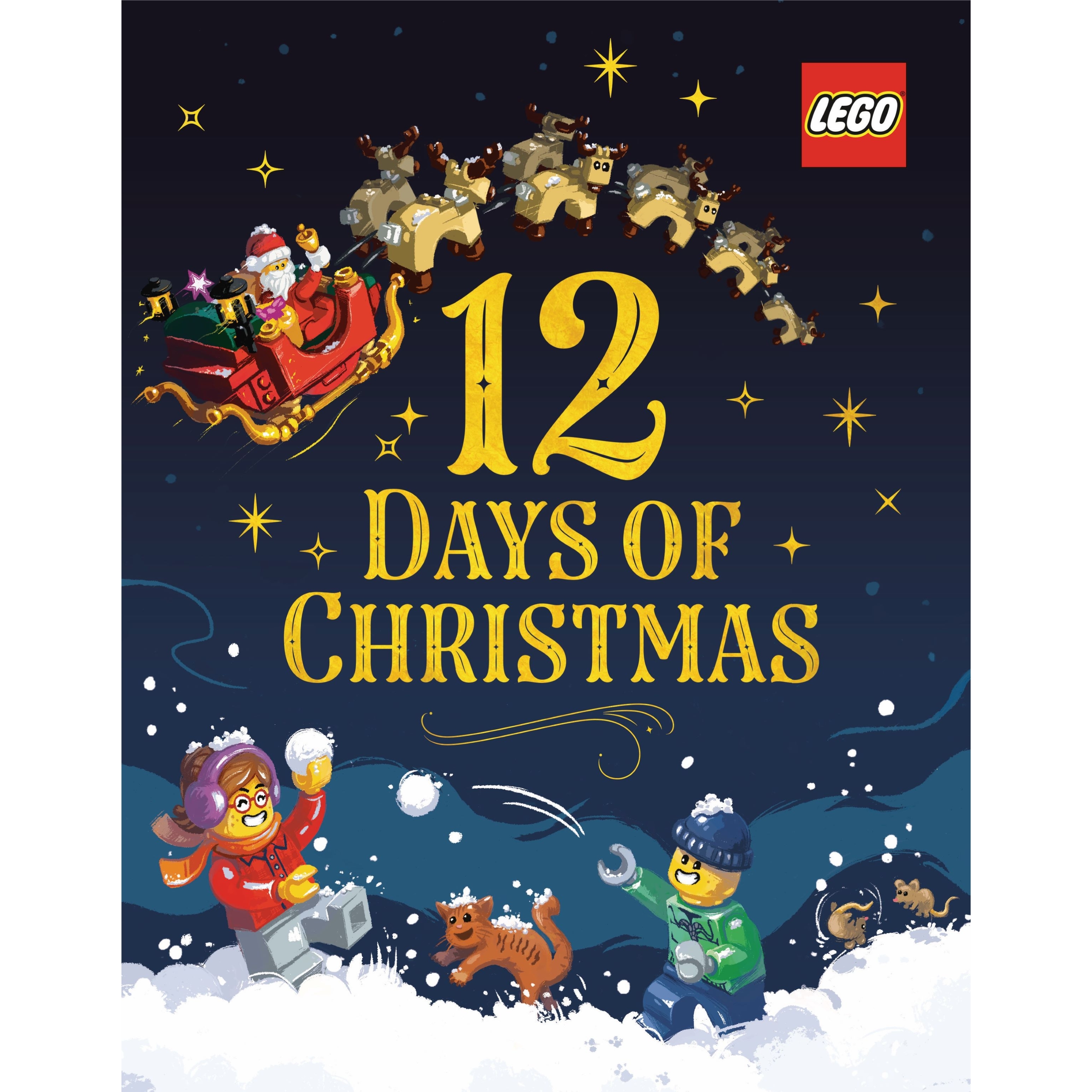 12 Days Of Christmas Book