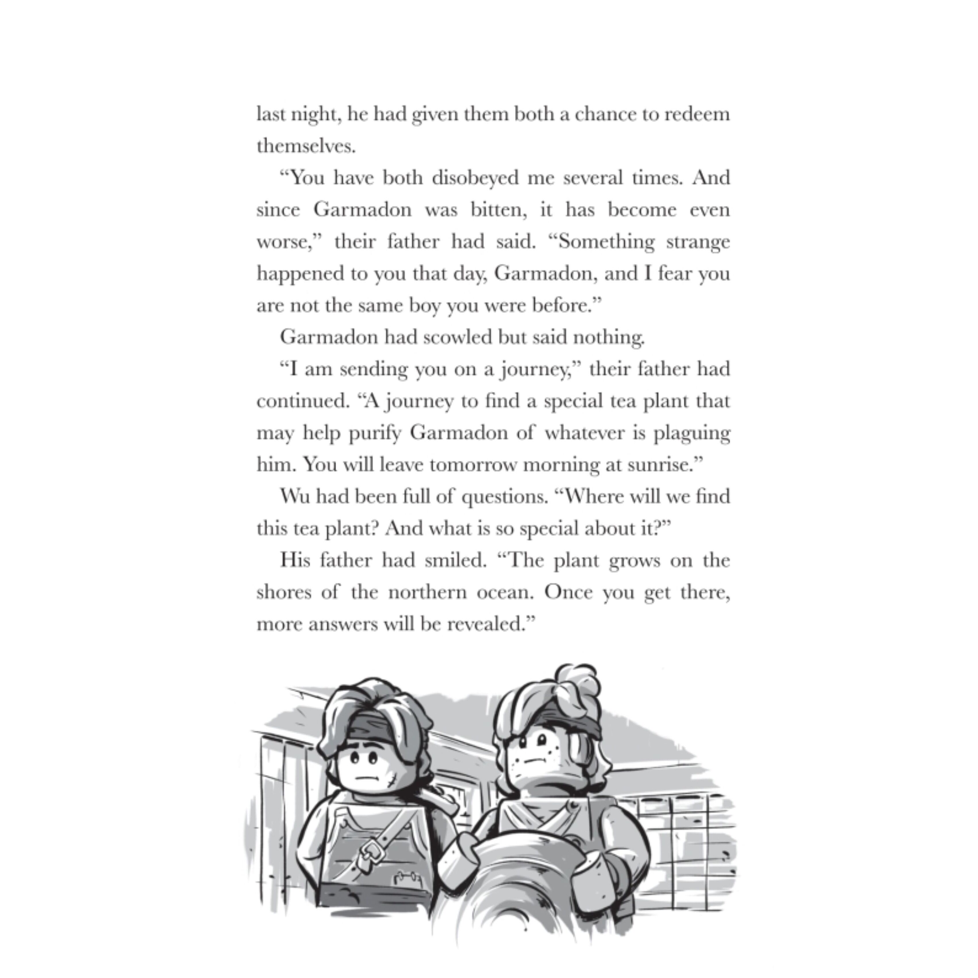 Spinjitzu Brothers: Curse Of The Cateye Jewel Book - Image 4