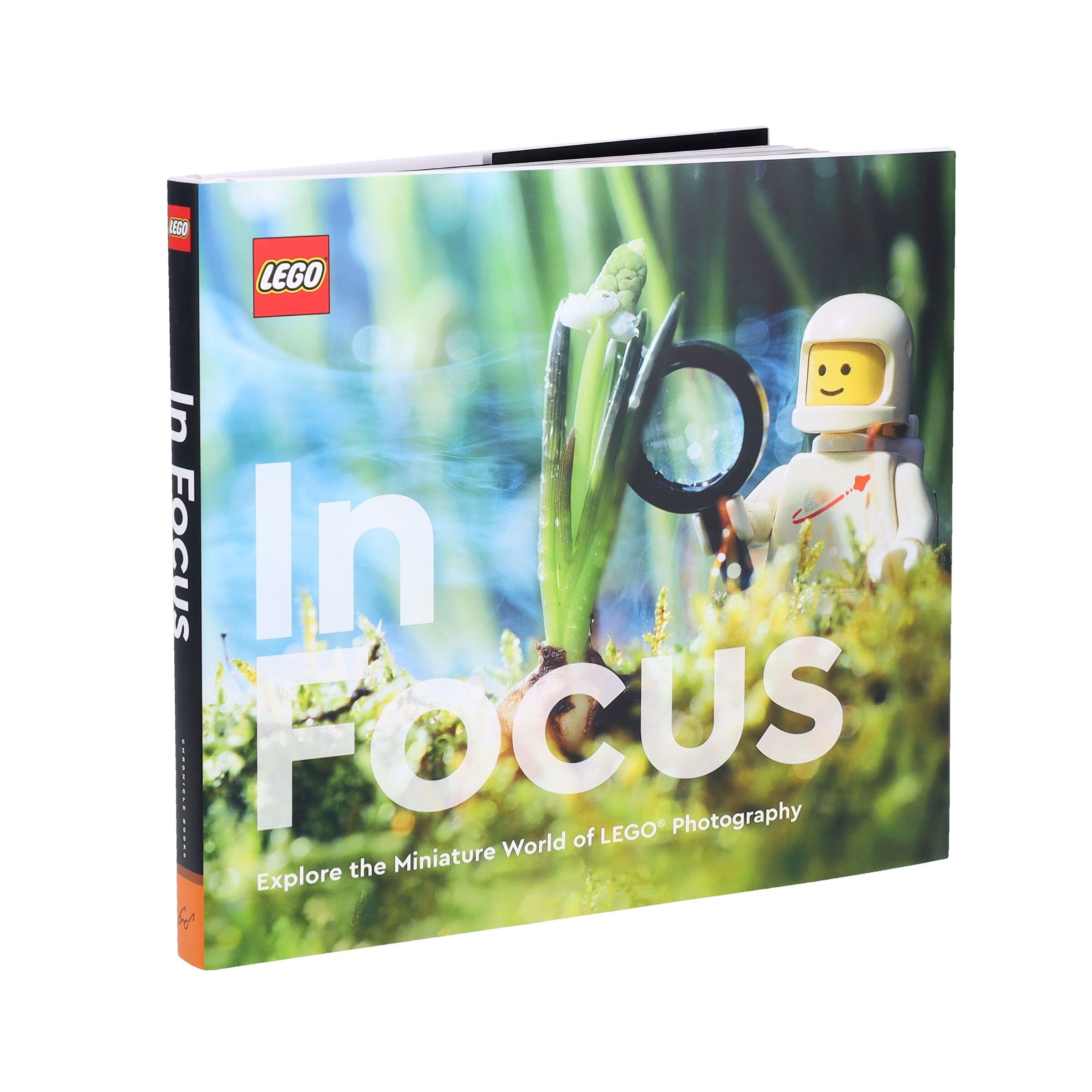 In Focus Book