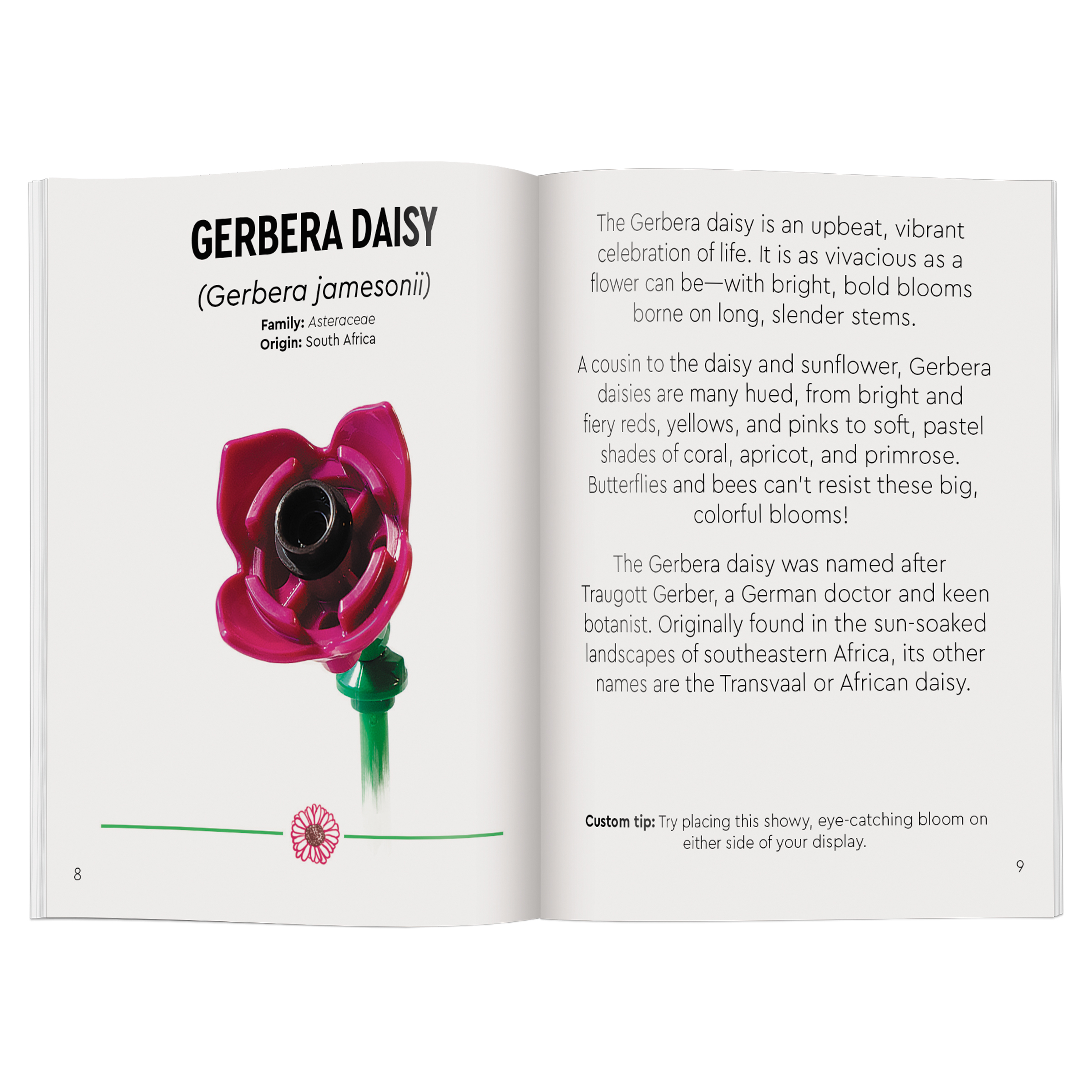 Tiny Wildflower Bouquet - Image 4