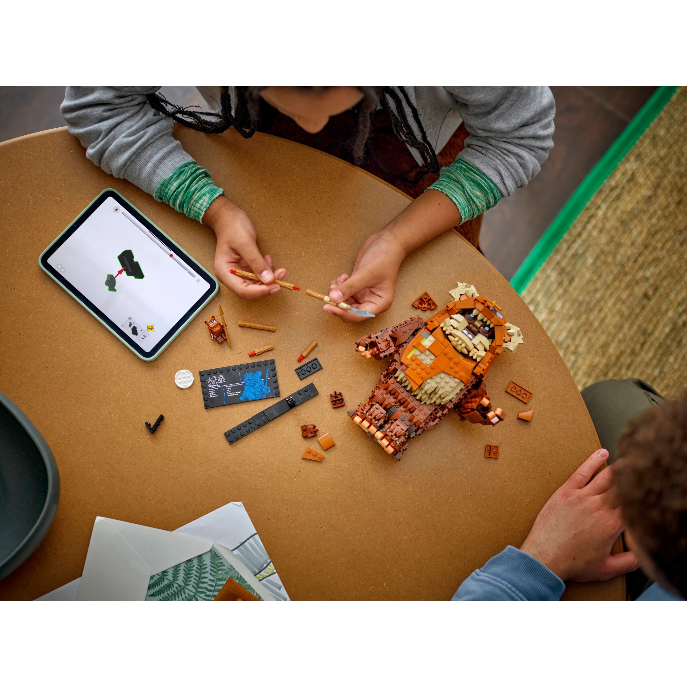 Wicket The Ewok - Image 9