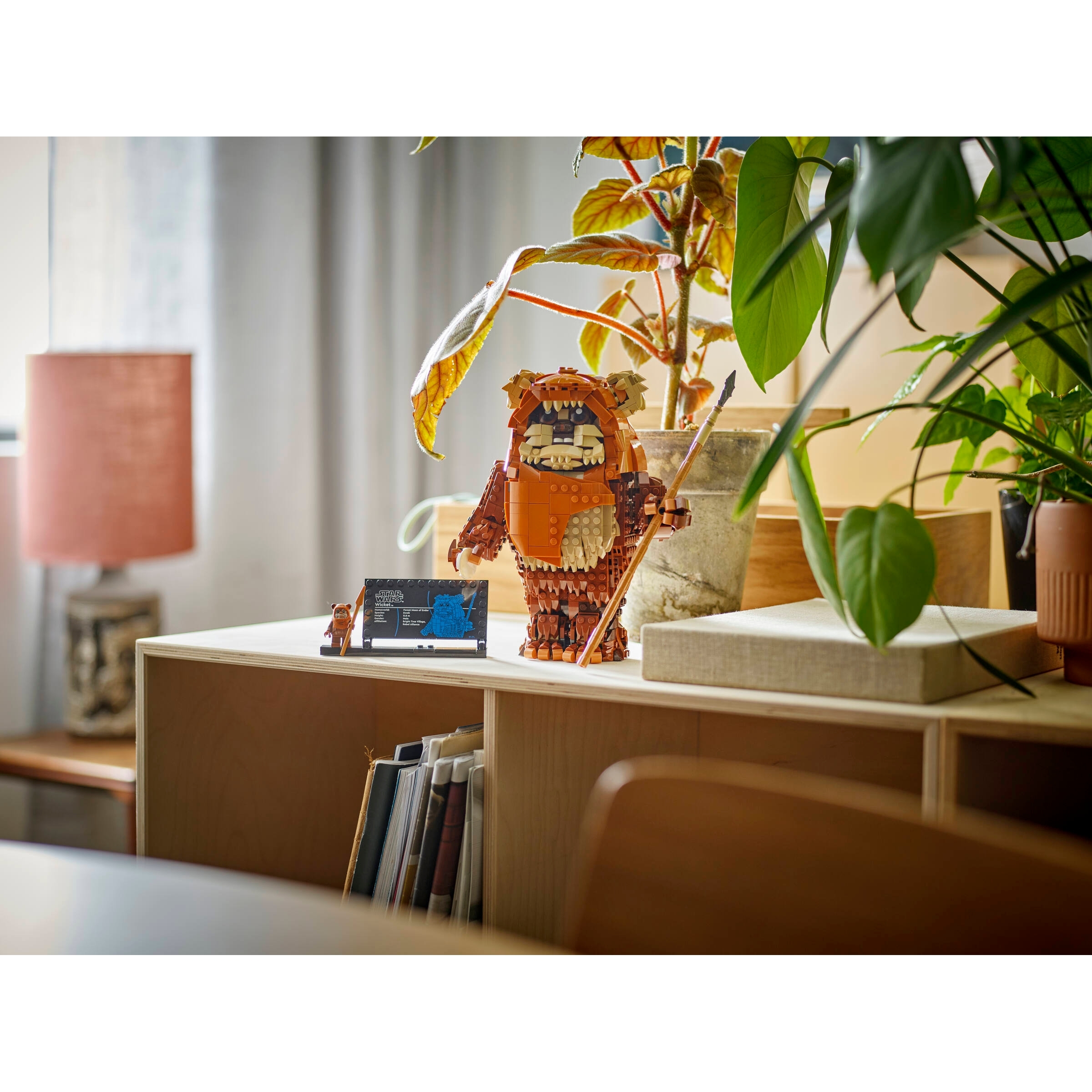 Wicket The Ewok - Image 8