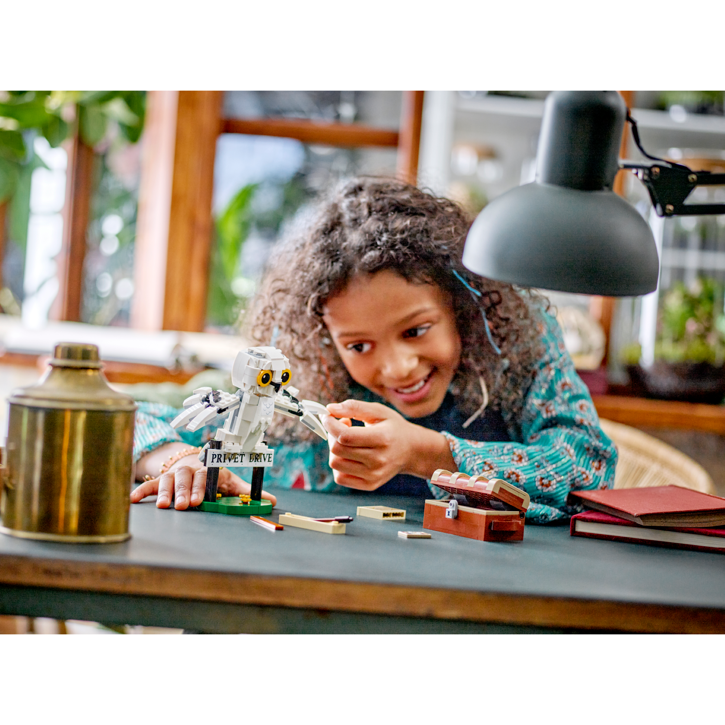 Hedwig At 4 Privet Drive - Image 8