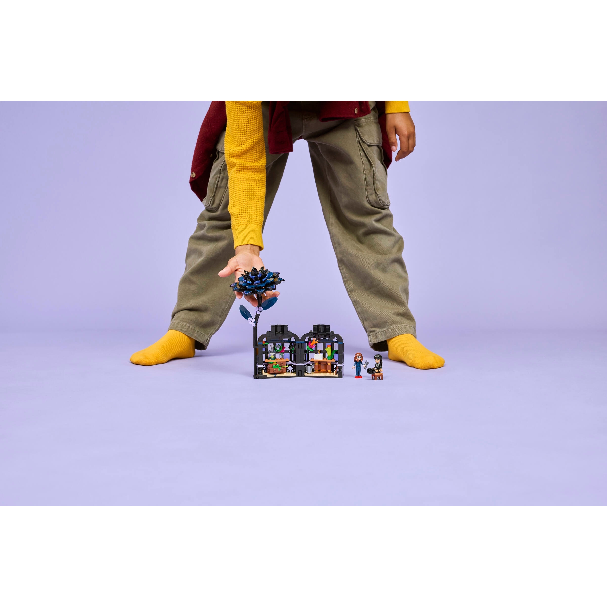 Black Dahlia Flower - Image 9